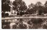 CpE2609 - St JEAN D´ANGELY - Un Coin Du Jardin Public - (17 - Charente Maritime) - Saint-Jean-d'Angely