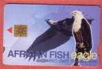 AFRICAN FISH EAGLE ( South Africa ) *** Eagle - Aigle - Adler - Aguila - Aquila * Birds Of Pray - Raptors Bird - South Africa