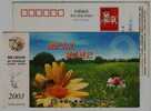 China 2003 Life Insurance Fujian Branch Advertising Postal Stationery Card Honeybee Bee Sunflower Basketball - Api