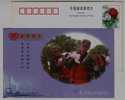 PLA Soldier Emergency Service And Disaster Relief,China 2003 Jiangsu Charity Philanthropy Advertising Pre-stamped Card - Accidents & Road Safety