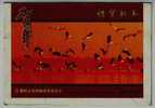 Crane Bird Inhabiting And Feeding In Poyanghu Lake Wetland,CN07 Poyang Landscape Pre-stamped Letter Card - Kranichvögel