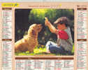 ALMANACH P.T.T. - 2003 - LAVIGNE - Formato Grande : 1991-00