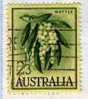 PIA - AUSTRALIA - 1959-62 : Fleurs : Mimosa   - (Yv 258) - Used Stamps