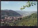 Horb Vue Panoramique  édit.la Cigogne N° 1.51 Belle Cpsm - Horb