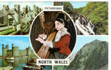 Picturesque NORTH WALES - Harpe - Other & Unclassified