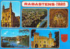 Carte Postale 81.  Rabastens  Trés Beau Plan - Rabastens