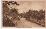 CpE2692 - BEAUMONT De LOMAGNE - Jardin Public - (82 - Tarn Et Garonne) - Beaumont De Lomagne