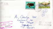 Solomon Islands / Cover (Philatelic Mail) - Turtles