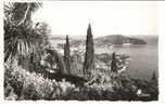 LE CAP FERRAT Vers 1950 - Saint-Jean-Cap-Ferrat