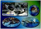 Marineland - Orque - Dauphins - Requin - Dolphins