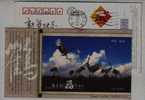 Red Crowned Crane Bird,China 2008 Yancheng National Nature Reserve Advertising Pre-stamped Card - Kranichvögel