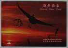 Red Crowned Crane,bird,China 2008 Changzhou Accounting Firm New Year Greeting Advertising Pre-stamped Letter Card - Grues Et Gruiformes