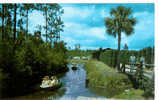 Okefenokee Swamp Park, Waycross - Sonstige & Ohne Zuordnung