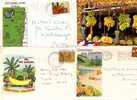 4 Cover &  Postcards On Bananas - 4 Carte Et Envelope De Bananes - Landbouw