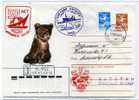 ENTIER POSTAL  STATIONERY   RUSSE RECOMMANDE OURS BATEAU - Bears