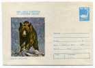 ENTIER POSTAL  STATIONERY  ROUMANIE  OURS BRUN - Ours