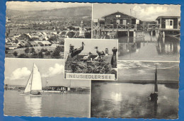 Österreich; Neusiedlersee; Neusiedler Am See; Stempel Podersdorf 1952 - Neusiedlerseeorte