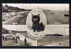 Real Photo Multiew Postcard Kitten Cat Mudeford Dorset - Ref 219 - Autres & Non Classés