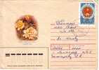 Postal Stationery –  Flowers ( Rose )  USSR 1985  To Bulgaria - Rosen