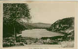 Natua Le Lac - Nantua