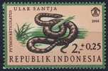 Indonesia Indonesie 1966 Mi 558 YT 494 Sc B203 ** Python Reticulatus: Ular Santja / Netpython / Regal Python/ Netzpython - Schlangen