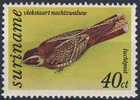 Suriname 1977 Mi 782 Aero ** Caprimulgus Maculicaudus: Spot-tailed Nightjar / Fleckenschwanz-Nachtschwa Lbe - Swallows