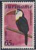 Suriname 1977 Mi 785 Aero ** Ramphastos Tucanu: White-throated Toucan / Roodsnaveltoekan / Rotschnabeltukan - Piciformes (pájaros Carpinteros)