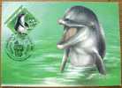 1991 RUSSIA MAXIMUM CARD WITH DOLPHIN FAUNA OF BLACK SEA - Dolfijnen