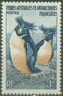 FRANCE ANTARCTIC TERR...1956..Michel # 3...MLH. - Nuevos