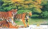 Tiger , Rare Animal ,     Prepaid Card, Postal Stationery - Rhinozerosse