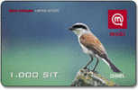 Slowenien - Slovenia - Mobi GSM Recharge Card - Bird - 1000 SIT - 31/12/2007 - Slovénie