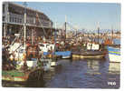 GUILVINEC Bateaux De Pêche à Quai Devant La Criée 1985 - Guilvinec