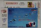 Swan Bird,China 2002 Shandong Telecom Phonecards Business Advertising Pre-stamped Card - Cygnes