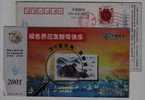 Migrant,swan Bird,wild Duck,China 2001 Jiangxi Philately Business Advertising Pre-stamped Card - Cygnes