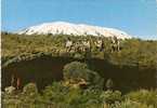 Kilimanjaro - Kenia