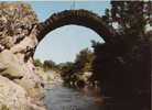 30 / SAINT JEAN DU GARD / LE PONT DES CHEVRES A L ESTRECHURE - Saint-Jean-du-Gard