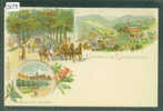 GRUSS AUS LIEHRENTHAL  - LITHO - TB - Bad Schandau