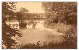 GAASBEEK-PARC DU CHATEAU-PARK  VAN KASTEEL - Otros & Sin Clasificación