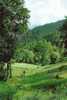 CP - GOLF EN MONTAGNE - A IDENTIFIER - Golf