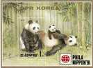 Bloc Feuillet Oblitéré De Corée Du Nord, , Panda, Faune, Phila Nippon 91 - Bears