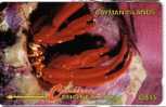 CRAB II  ( Cayman Islands - Code 4CCIB.../B ) *** Crabe - Crawfish - Crayfish - Krabbe - Cangrejo De Mar  - Crabs * - Kaaimaneilanden