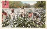 ETATS UNIS - Ref No 316- A Busy Day In The Cotton Field   - Bon Etat - Black Americana