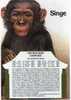 CPSM.  ASTRO CHINOISE. LE SINGE. - Astrology