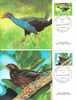 FDC 153 Nlle CALEDONIE - POSTE 510 - 511 - OISEAUX De NC - CARTES MAXIMUM - BIRDS - Tarjetas – Máxima