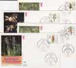 Berlin   Flore  ORCHIDEES  Le 18.101984  N° 685.88 - Other & Unclassified