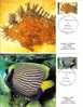 FDC 178 Nlle CALEDONIE - POSTE 512 - 513 - POISSONS - FISHS - CARTES MAXIMUMS - Maximum Cards