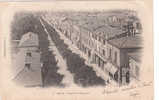 Cpa De BLIDA  - Boulevard Trumelet Vers 1900 - Blida