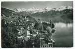 Schweiz/Suisse: AK Hilterfingen Am Thunersee, 1950, 2 Scans - Hilterfingen