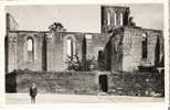 DOUE LA FONTAINE  Ruines De L Eglise St Denis - Doue La Fontaine