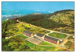 BOMAL SUR OURTHE MONT DES PINS-DENNENHEUVEL-Mutualités Neutres-vue Aérienne - Durbuy